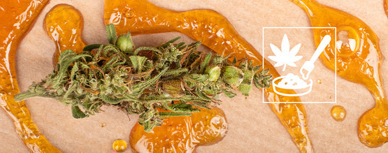 Den ultimata guiden till cannabiskoncentrat