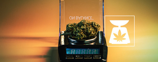 Cannabisvikter: Allt du behöver veta