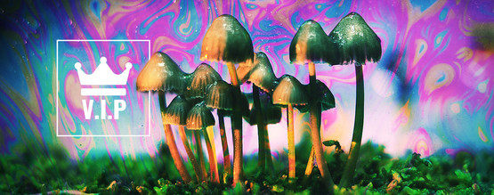 Psykedeliska VIP-medlemmar