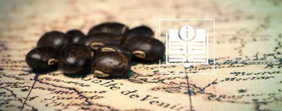 Velvet beans: allt du behöver veta