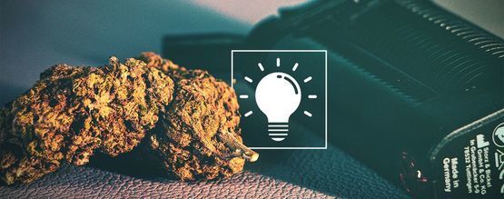 Nybörjarguide till torrört-vaporizers: uppbyggnad och så använder du en