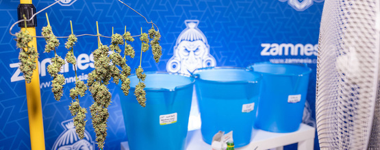 Bud washing: Vad är det och varför bör du göra det?