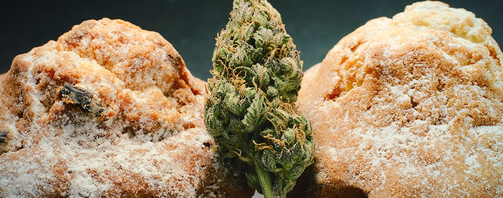 Den nederländska renässansen för ätbara cannabisprodukter