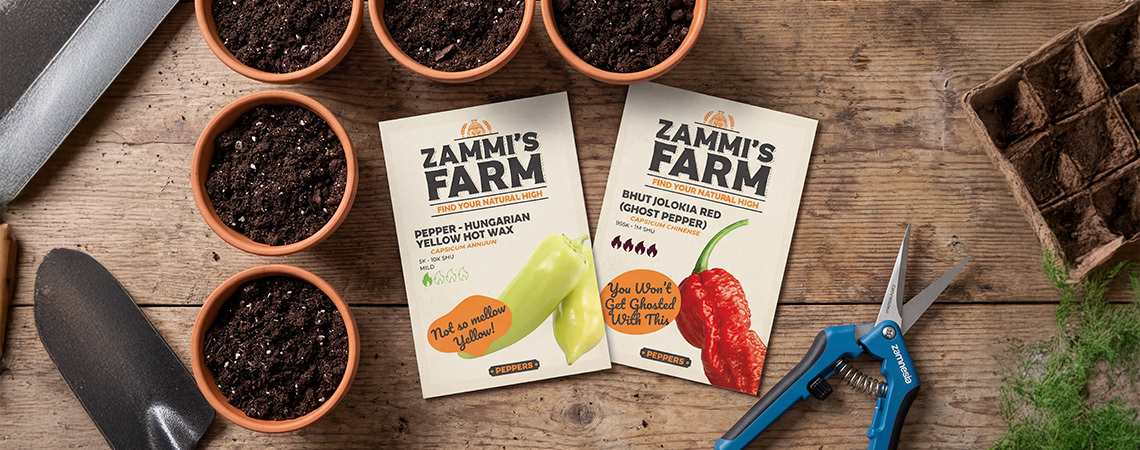 Growing Peppers For Beginners In 10 Easy Steps