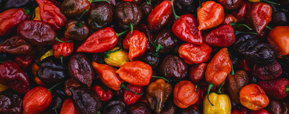 Topp 20 hetaste chilipepparna i världen (2026 års upplaga)