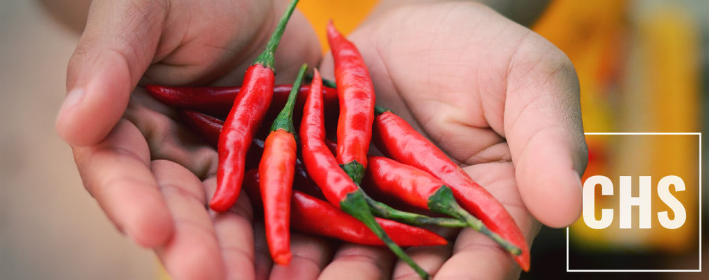 Hur capsaicin kan lindra cannabinoid hyperemesis-syndrom