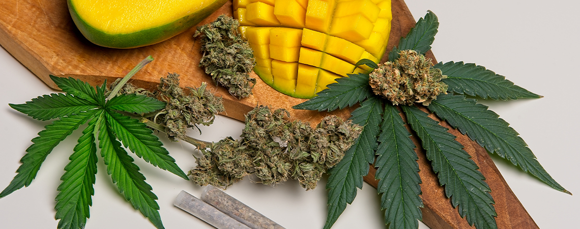 Vad är myrcen i cannabis?