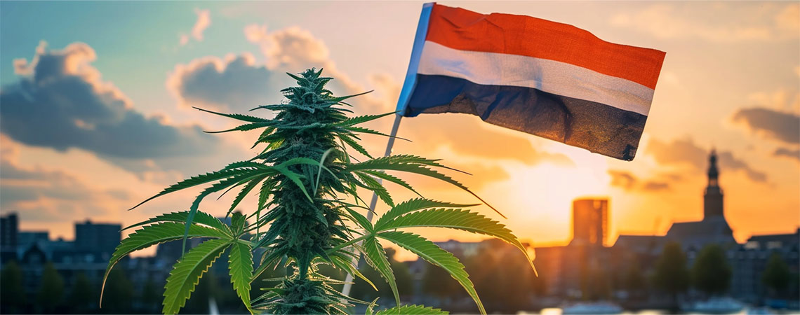 Ny era för nederländsk cannabis när laglig försäljning inleds