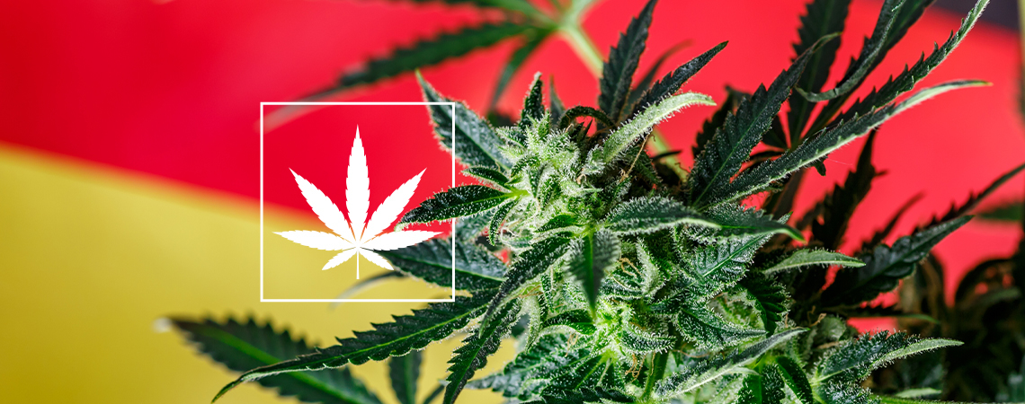 En titt på den nya tyska scenen för cannabis social clubs