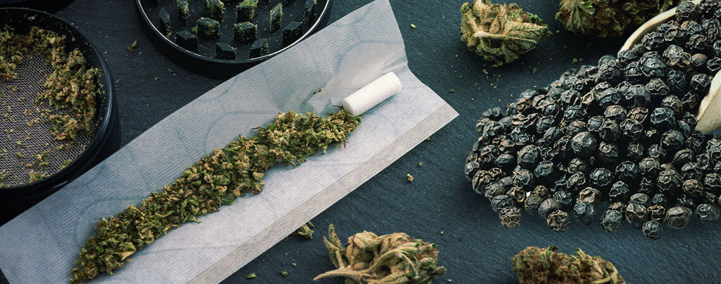 Kan svartpeppar hjälpa till att hantera cannabisens effekter?