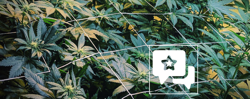 Sortrecension: Casey Jones