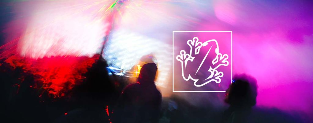 5-MeO-DMT och paddprofeten