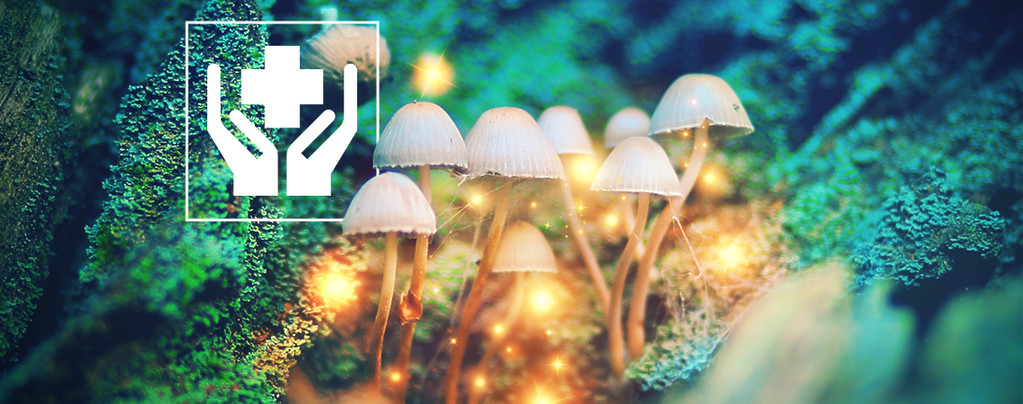 Magic Mushrooms