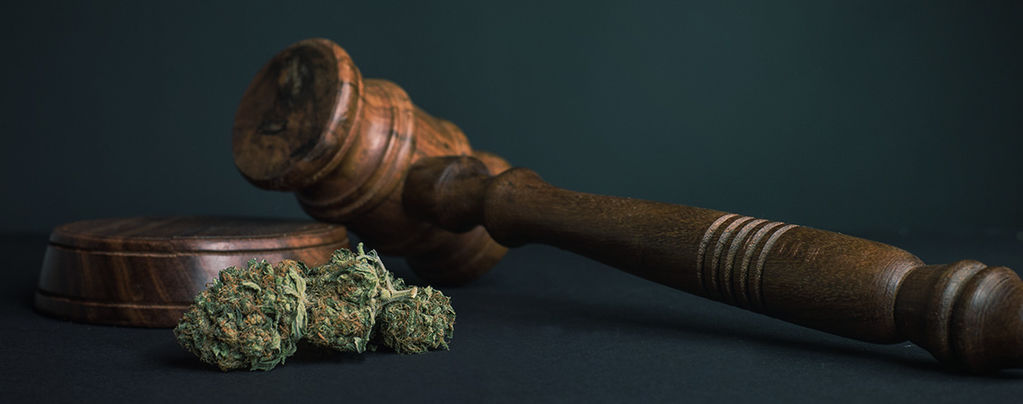 10 skäl till att alla droger bör legaliseras