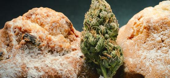 Den nederländska renässansen för ätbara cannabisprodukter