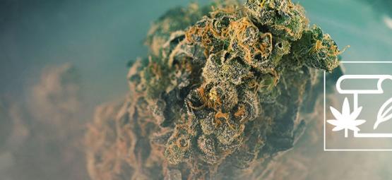 Vad är skunk-cannabis?