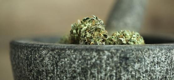 10 sätt att mala cannabis utan en kvarn [2026 uppdatering]