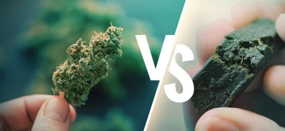 Skillnaden mellan cannabis och hasch