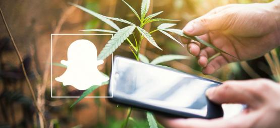 9 cannabis-konton att följa på Snapchat