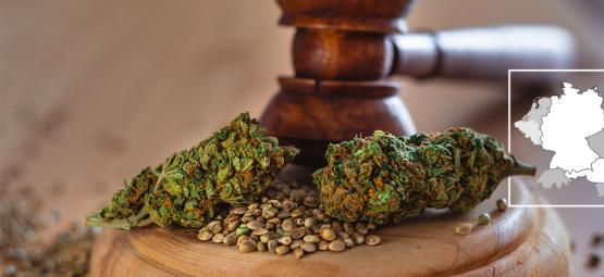 Tyskland legaliserar cannabis 2024