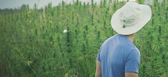Den hyllade cannabispionjären Franco Loja har avlidit, 42 år gammal
