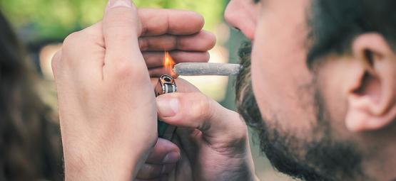 Det som får cannabis att brinna snabbt eller långsamt
