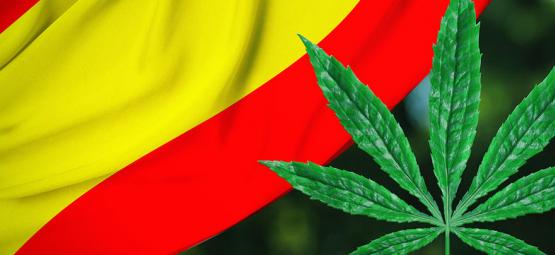 Regleringen sprider sig: Bilbao i Spanien är på väg att reglera cannabisclubbar