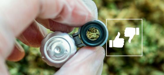 Bra vs dålig cannabis: så ser du skillnaden
