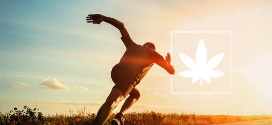 Hur cannabis påverkar idrottsprestationen