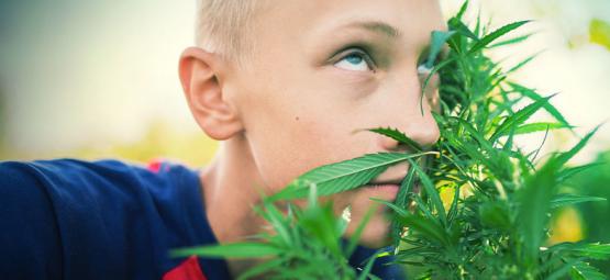 Hur du blir hög utan att använda cannabis