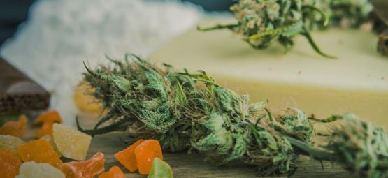Bästa sorterna för att göra ätbara cannabisprodukter