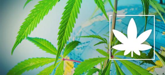 Var kan man röka cannabis lagligt i Europa