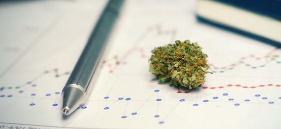 För- och nackdelar med att använda cannabis för att plugga eller träna