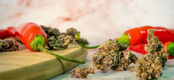 De oväntade fördelarna med att kombinera cannabis och heta chilifrukter