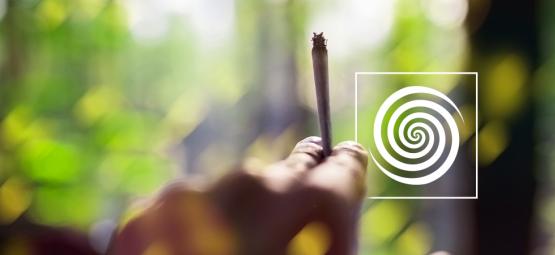 Är det möjligt att få en psykedelisk upplevelse av cannabis?
