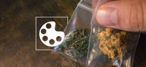Cannabis i olika färger – och vad de betyder