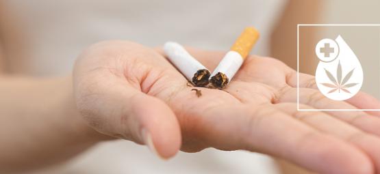 Sluta röka i dag med CBD: den naturliga lösningen