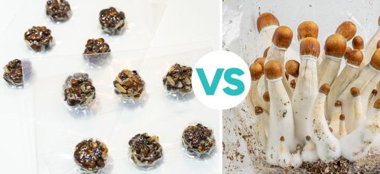 Magiska tryfflar vs magiska svampar: Vem vinner?