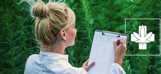 Så väljer du rätt medicinska cannabissort för dig