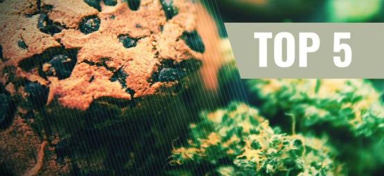 Topp 5 recept på cannabiskakor