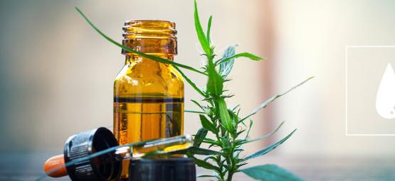 En komplett guide till CO₂-extraherad cannabisolja