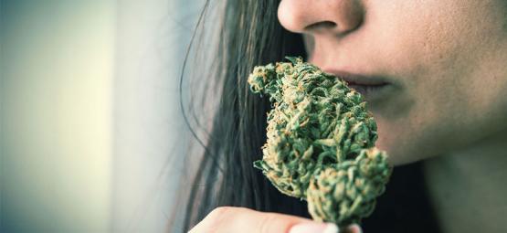 Så blir du av med cannabisdoft