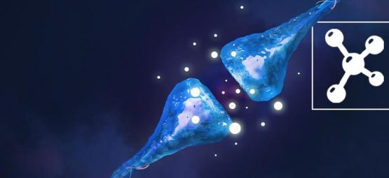 Vad är det endocannabinoida systemet?