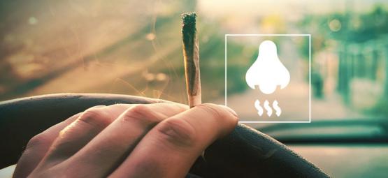 Så får du bort cannabislukt ur bilen