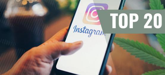 20 bästa cannabis-konton på Instagram att följa [uppdatering 2024] ट्वी