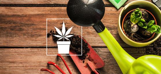 10 oumbärliga verktyg för cannabisodlaren