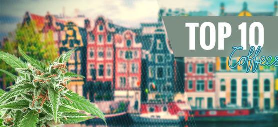 Topp 10 cannabissorter för coffeeshops