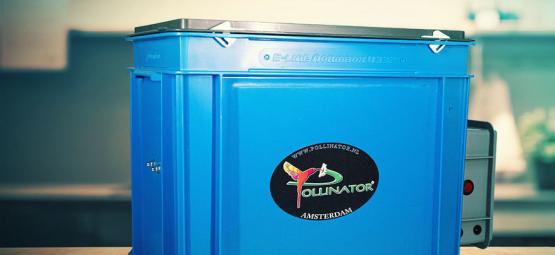 Pollinator: Enkel hashproduktion hemma