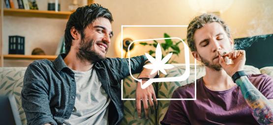 6 cannabissorter som gör dig pratsam och social
