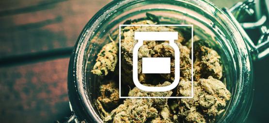 Så förhindrar du mögel när du förvarar cannabis